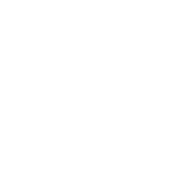 Number 1 icon